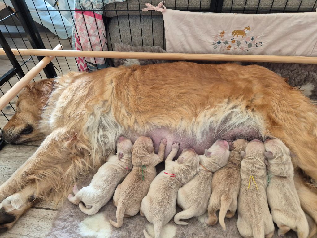 Bienvenue les bébés 